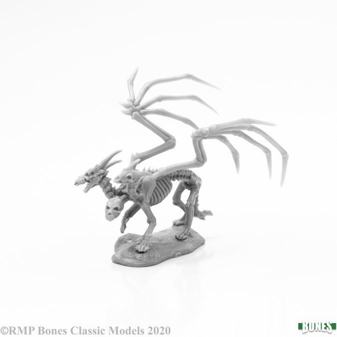 skeletal chimera