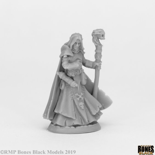 [44073] Dark Elf Wizard