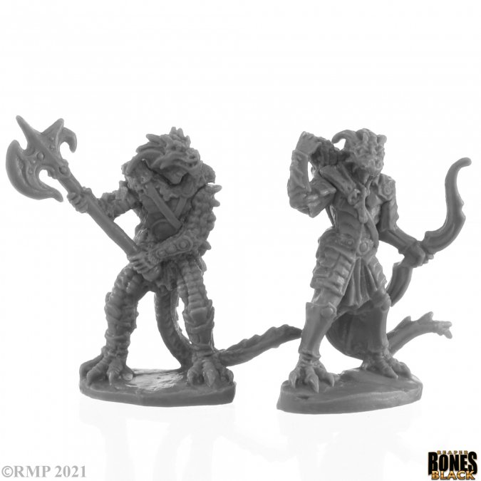 Dragonfolk Fighter And Ranger