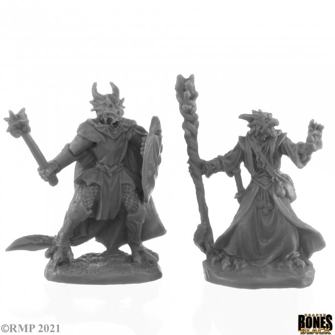 Dragonfolk Wizard And Cleric