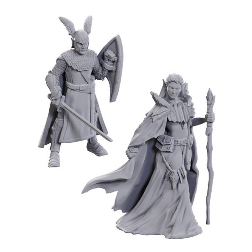 Elves (D&D 50th)