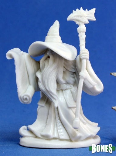 [77054] Galladon, Male Wizard