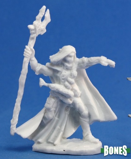[77092] Elquin, High Elf Adventurer